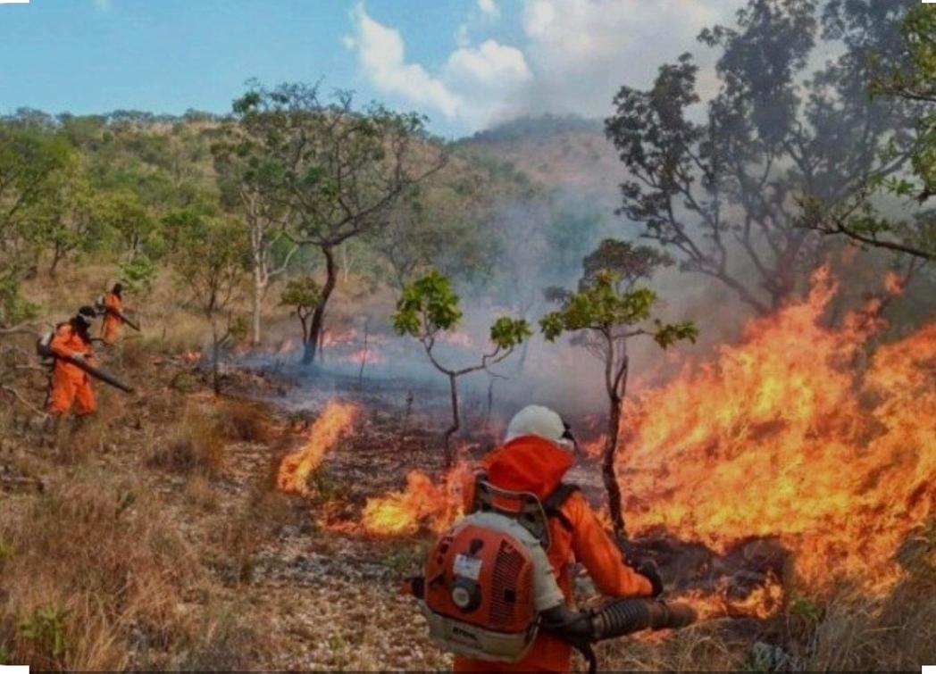 Claudia Lelis propõe ação preventiva para combater queimadas 