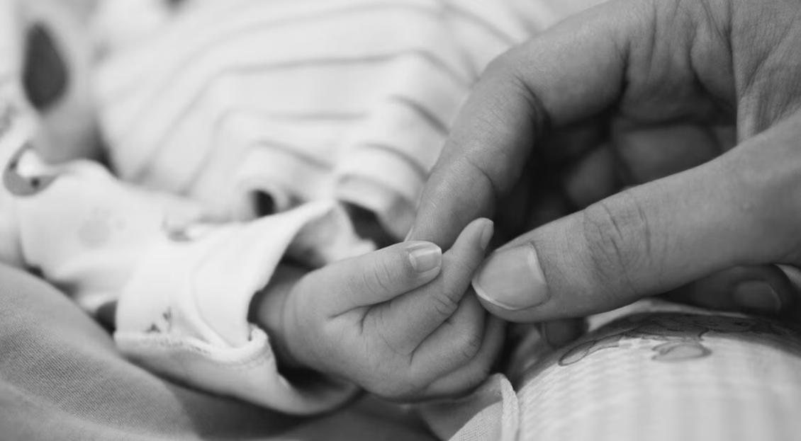 Projeto garante atendimento empático a famílias após perda gestacional ou óbito neonatal Projeto garante atendimento empático a famílias após perda gestacional ou óbito neonatal