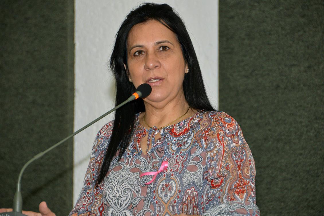 Deputada Amália Santana representa Valderez em palestra sobre destino de Resíduos Sólidos Deputada Amália Santana representa Valderez em palestra sobre destino de Resíduos Sólidos