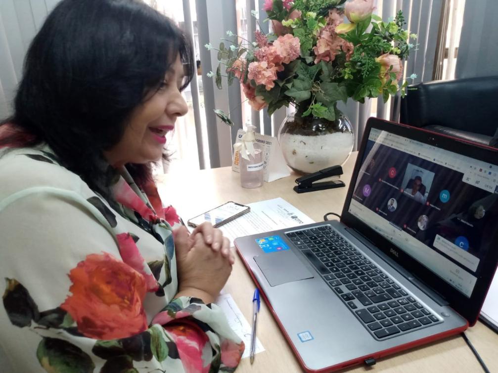 Reunião aconteceu em plataforma online. Reunião aconteceu em plataforma online.