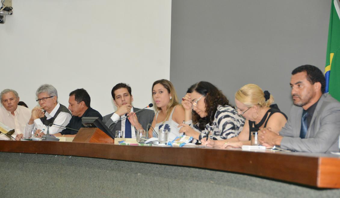 Deputada Luana Ribeiro comanda reunião sobre a saúde no Tocantins