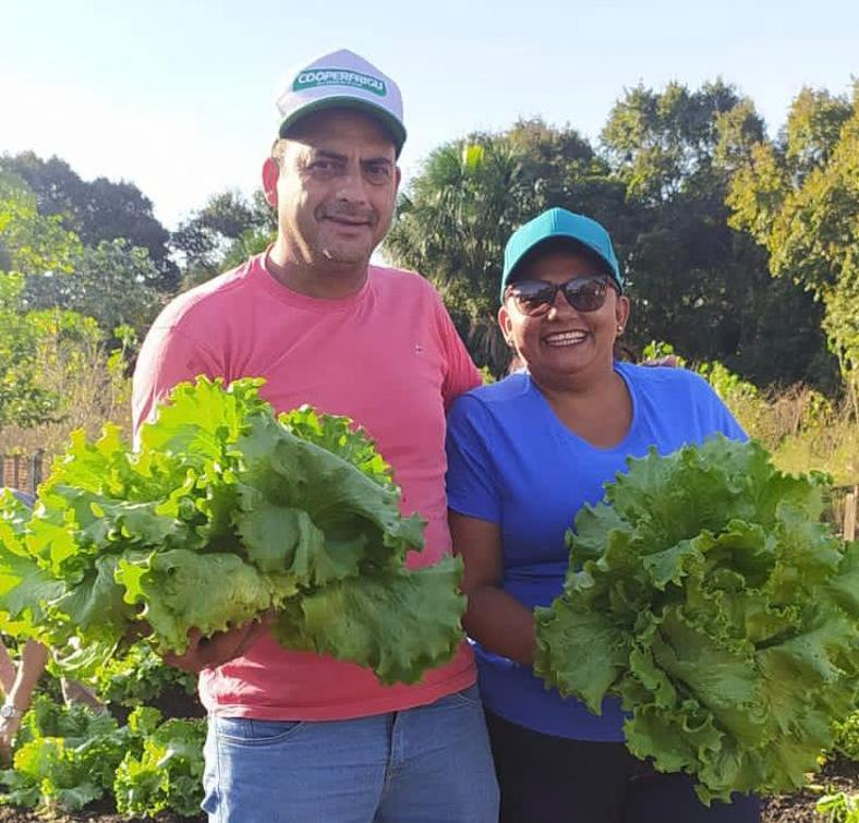 500 quilos de frutas, legumes e hortaliças foram distribuídos gratuitamente para 150 famílias