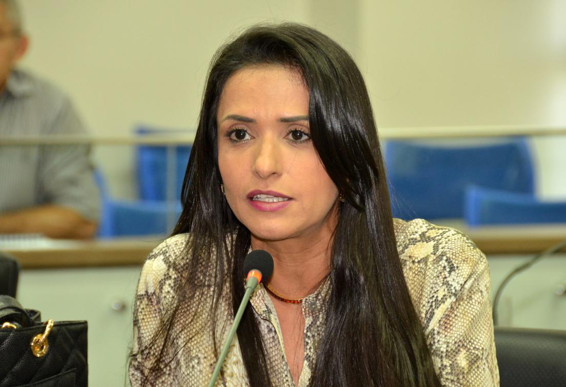 Solange solicita do Governo do Estado melhorias para Região Sul do Tocantins Solange solicita do Governo do Estado melhorias para Região Sul do Tocantins