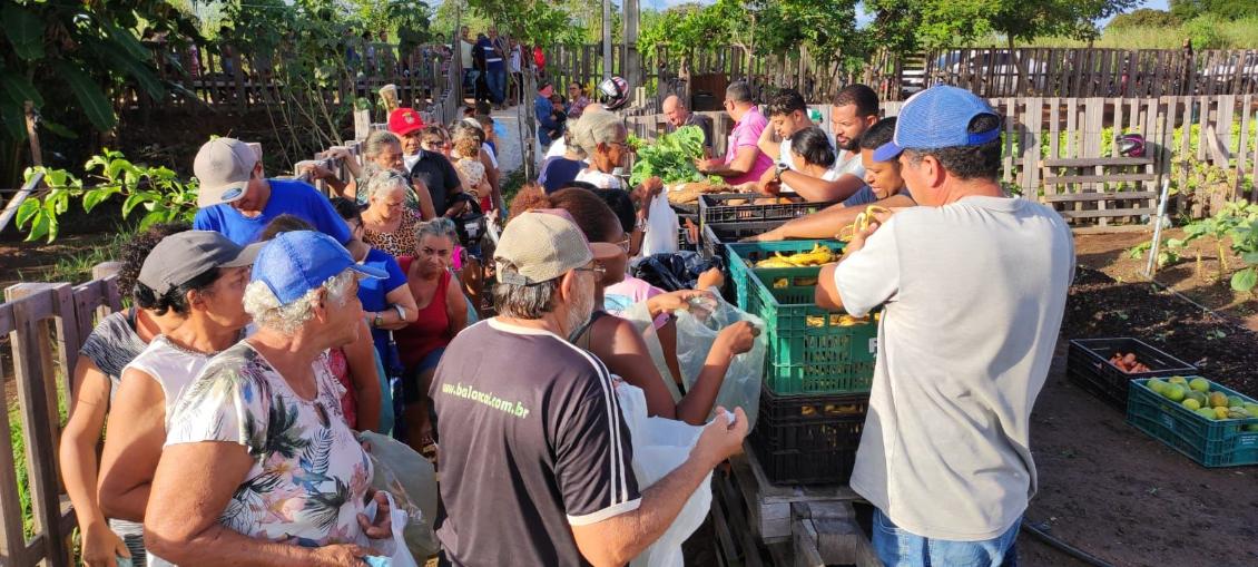Projeto Horta Comunitária atende mais de cinco mil famílias e distribui 20 toneladas de alimentos