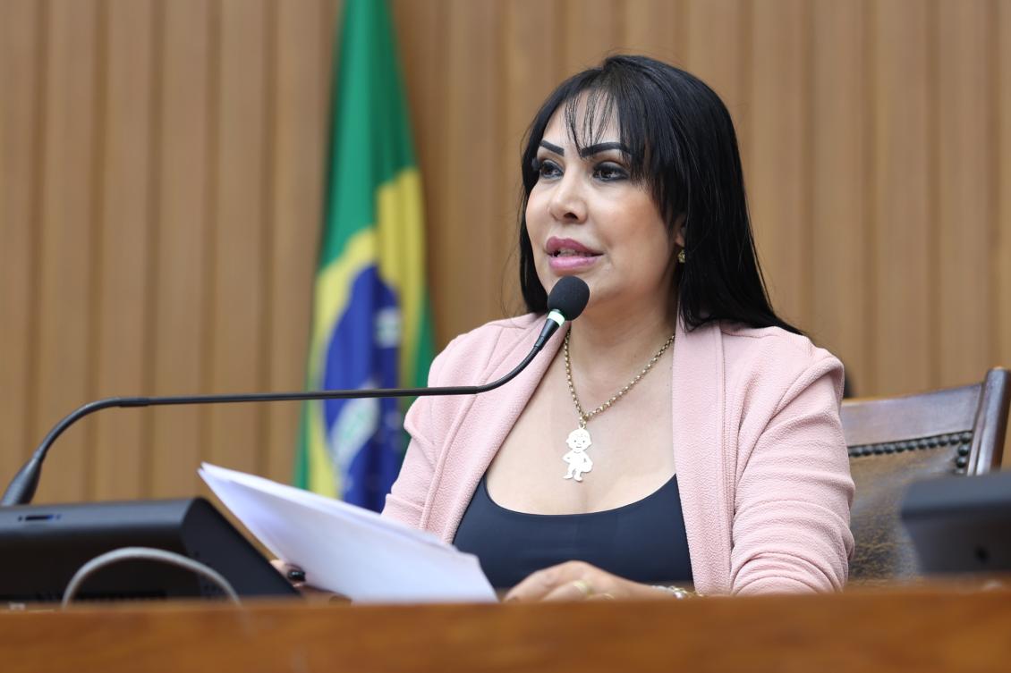 Propostas reforçam compromisso da deputada com infraestrutura e desenvolvimento regional Propostas reforçam compromisso da deputada com infraestrutura e desenvolvimento regional