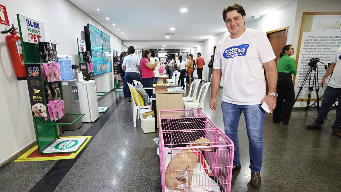 Feira intermediou a adoção de 12 dos 20 animais expostos pela ONG Adota Palmas