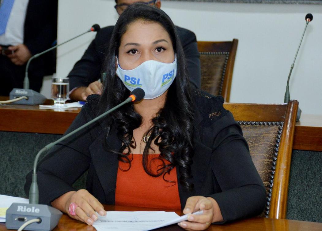 A deputada solicitou também serviços de infraestrutura entre a TO-222 à TO-226. A deputada solicitou também serviços de infraestrutura entre a TO-222 à TO-226.