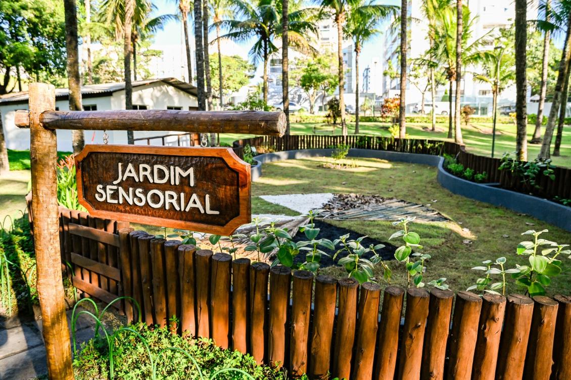 Jardins sensoriais utilizam plantas de diferentes texturas e aromas, caminhos táteis e brinquedos 