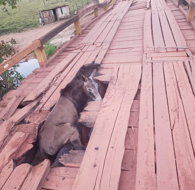 Substituir a estrutura de madeira deteriorada e pavimentar trecho da BR-010