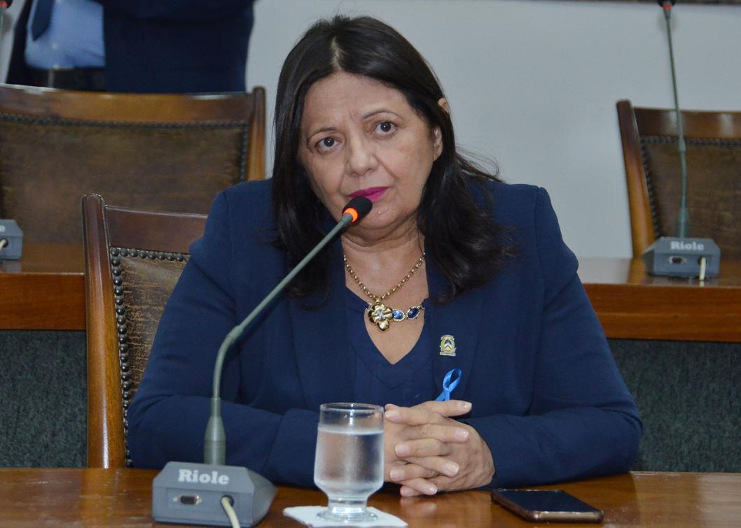 Deputada acredita que os eventos fortalecem a economia e geram emprego e renda. Deputada acredita que os eventos fortalecem a economia e geram emprego e renda.