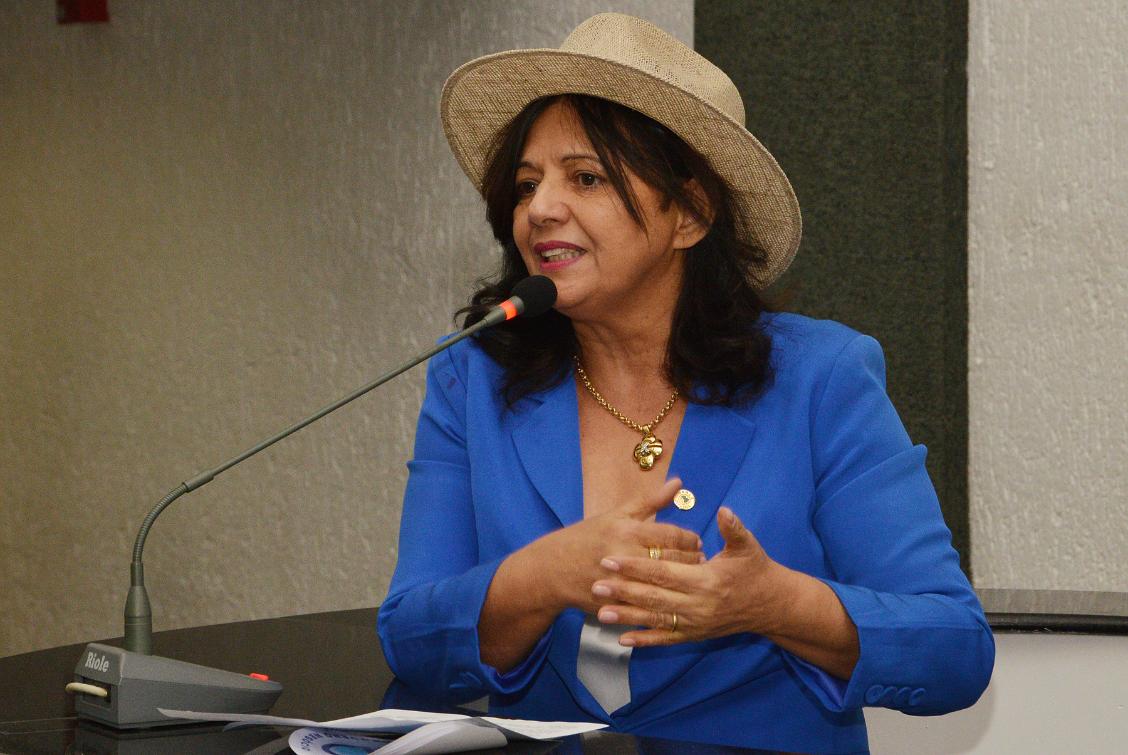 Deputada Valderez quer consumidores tocantinenses comprando das micro e pequenas empresas