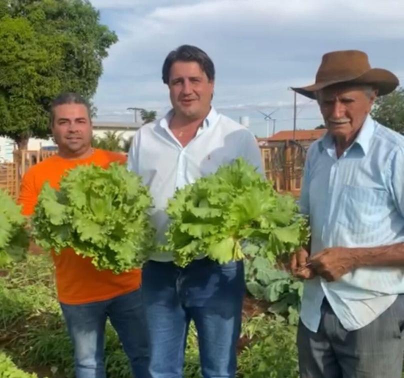 Horta Comunitária em pleno funcionamento em Alvoras