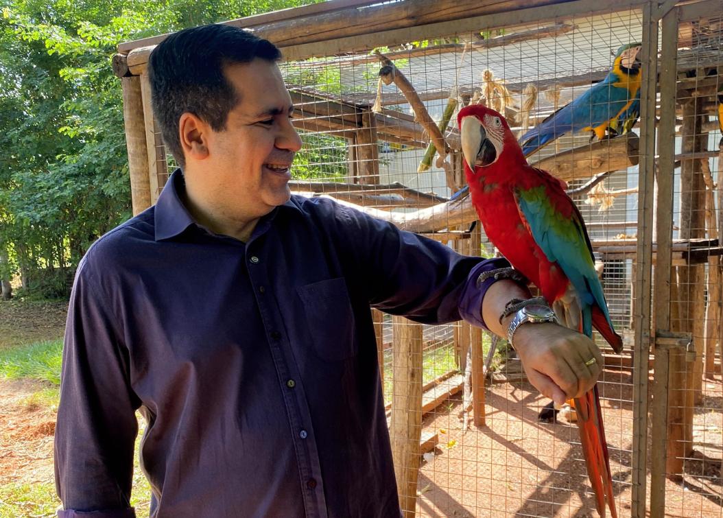 A lei nº 5.028 garante certificação para ações contínuas em prol da causa animal