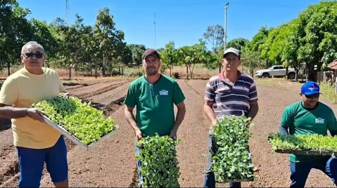 iniciativa de Eduardo Fortes, a horta está sendo implantada em parceria com várias lideranças