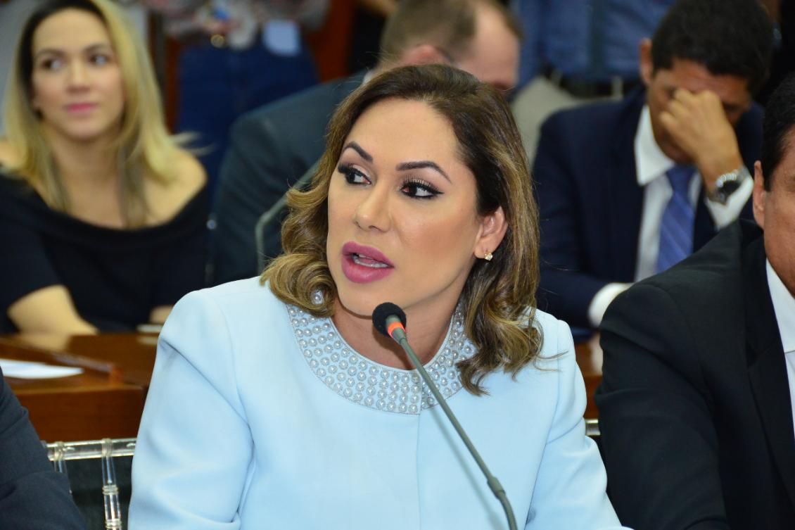 Luana: inventário deverá ser de acesso público e irrestrito, descrito de maneira clara e objetiva Luana: inventário deverá ser de acesso público e irrestrito, descrito de maneira clara e objetiva