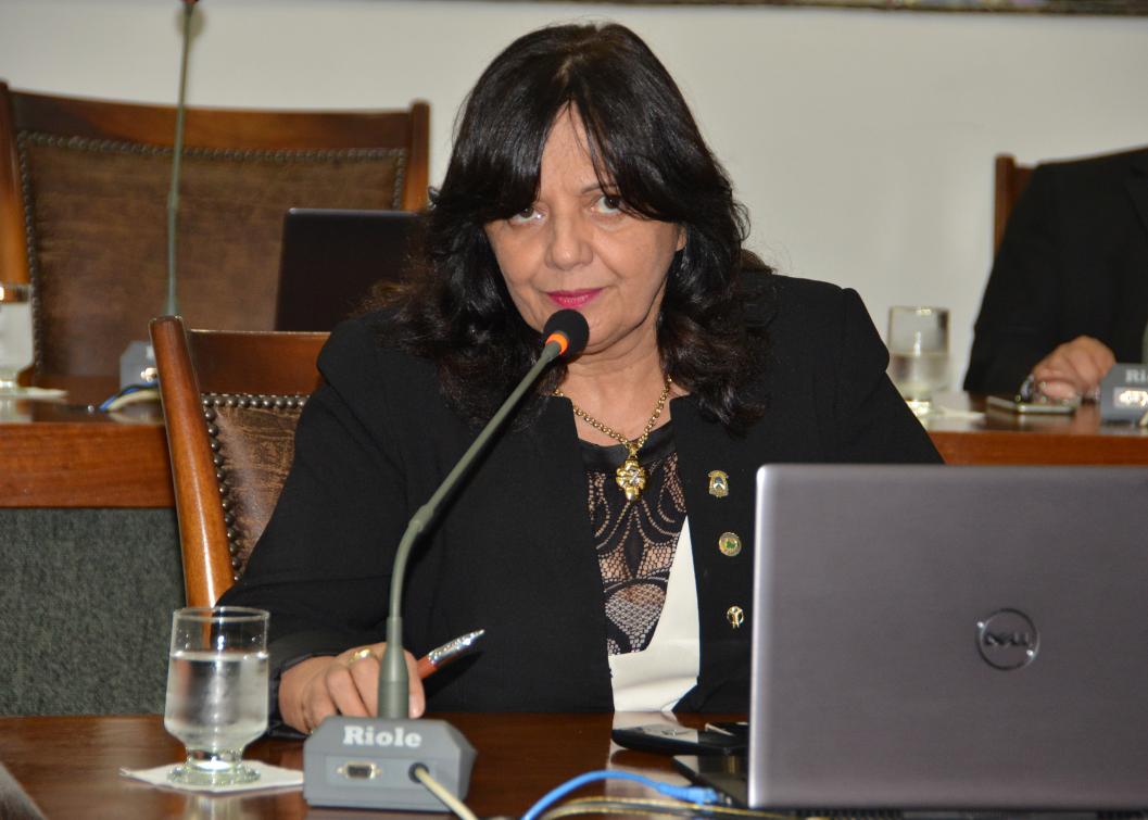 A parlamentar solicita também pavimentação asfáltica da rodovia TO-295 A parlamentar solicita também pavimentação asfáltica da rodovia TO-295