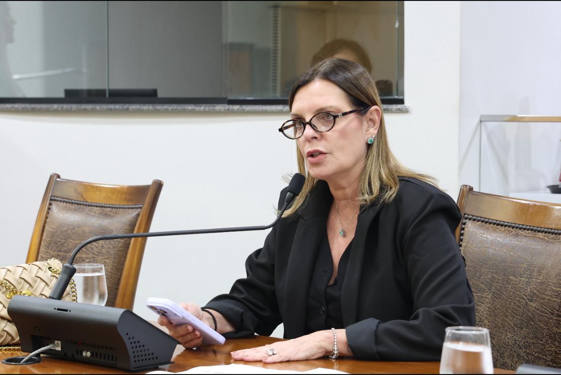 Deputada requer mais segurança em avenidas comerciais da Capital 