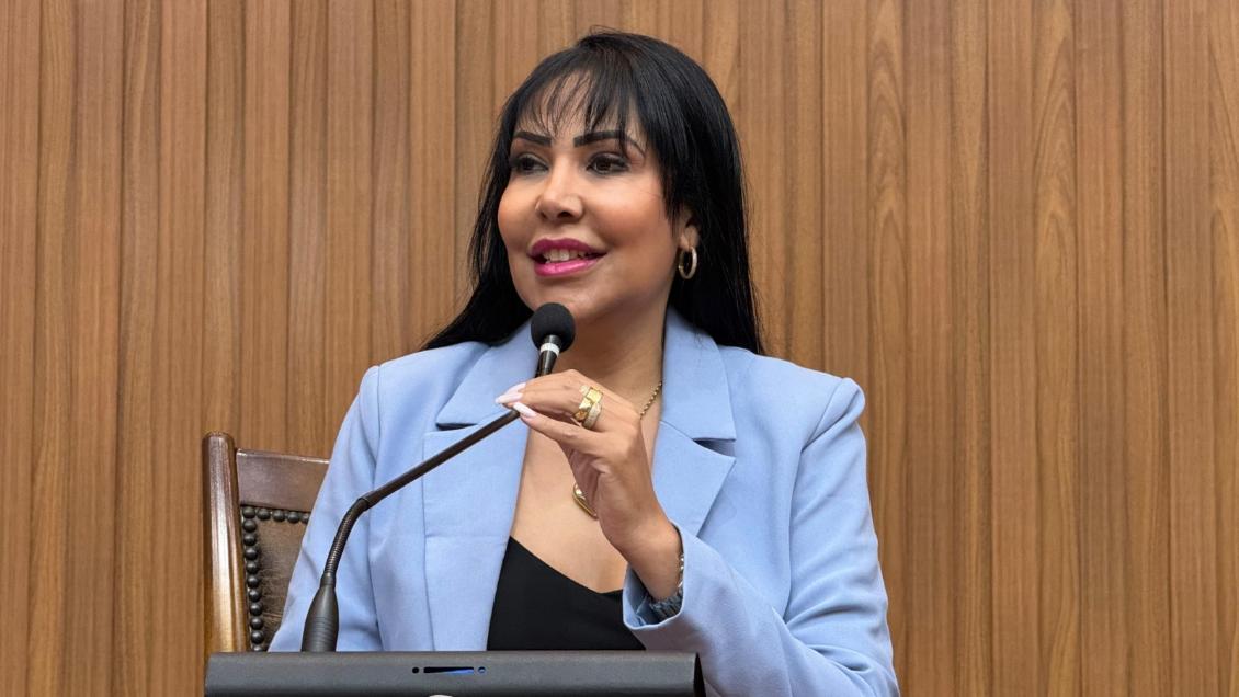 Janad Valcari apresenta requerimento de medidas para assegurar a preservação da TO-482 