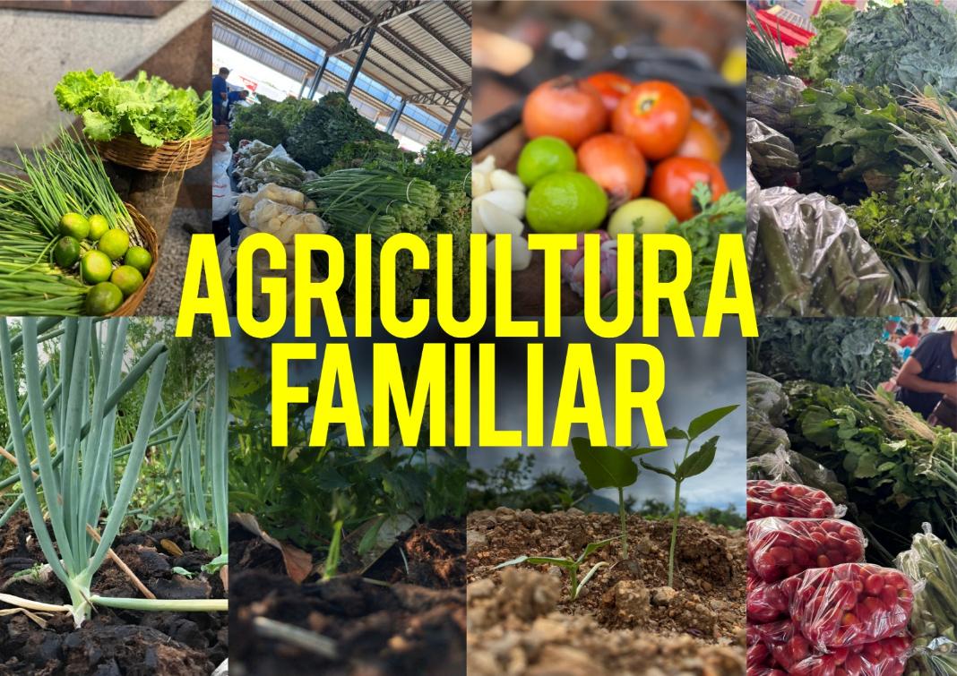 Essas emendas são um passo importante para garantir mais estrutura e dignidade para quem produz Essas emendas são um passo importante para garantir mais estrutura e dignidade para quem produz