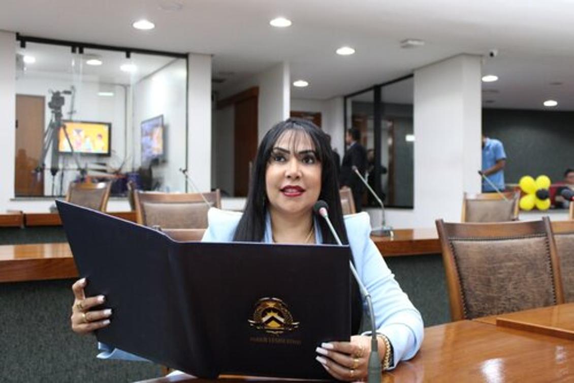 Demanda visa a implantação desta etapa na Escola Cívico-Militar Professora Hamedy Cury Queiroz Demanda visa a implantação desta etapa na Escola Cívico-Militar Professora Hamedy Cury Queiroz