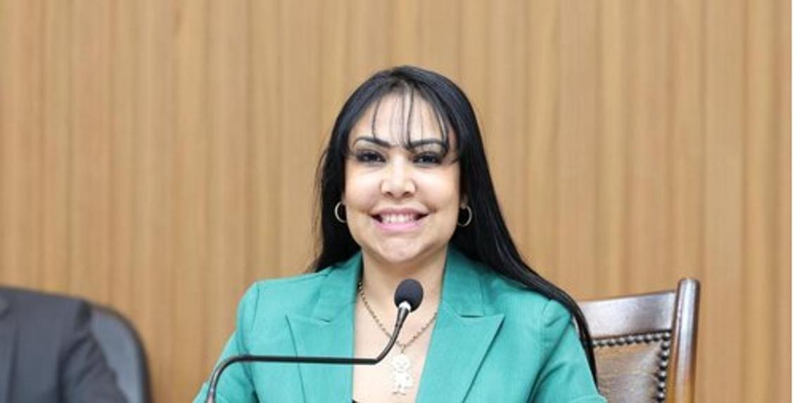 População preocupada com acidentes motiva pedido de redutores, afirma parlamentar População preocupada com acidentes motiva pedido de redutores, afirma parlamentar