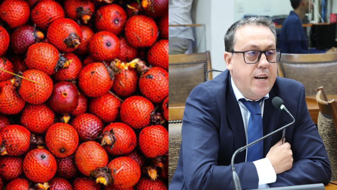 O governador Wanderlei Barbosa sancionou o Projeto de Lei 30/2025 de autoria do deputado Dr. Danilo 